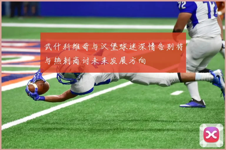 武什科维奇与汉堡球迷深情告别将与热刺商讨未来发展方向