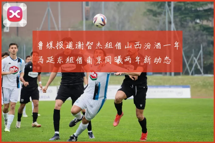 鲁媒报道谢智杰租借山西汾酒一年马延东租借南京同曦两年新动态